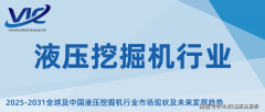 液压挖掘机行业：洞察现状预见将来…